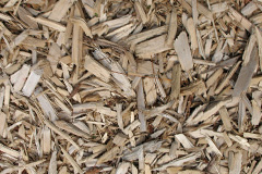 biomass boilers Fairwood